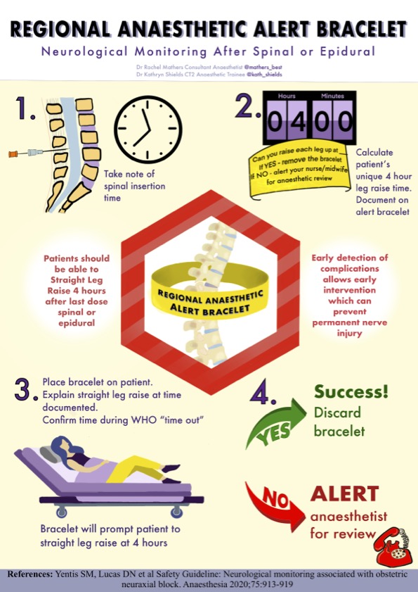 Yellow Infographic
